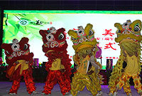 2013海南定安端午美食文化节开幕式