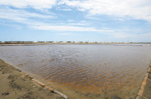 海南省莺歌海弱碱性水:一种罕见的天然苏打水
