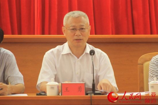 三亚市长王勇:将撤县设市30年的经验运用